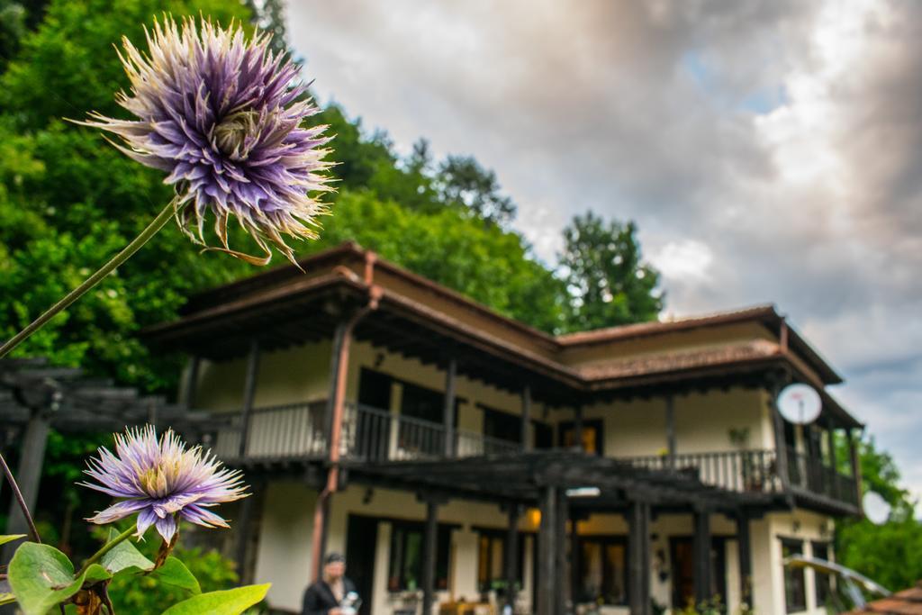 Guest House Verbena Априлці Екстер'єр фото